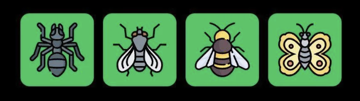FLIES Daily Combo 26 May 2025